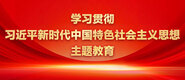 大粗鸡巴操骚逼视学习贯彻习近平新时代中国特色社会主义思想主题教育_fororder_ad-371X160(2)